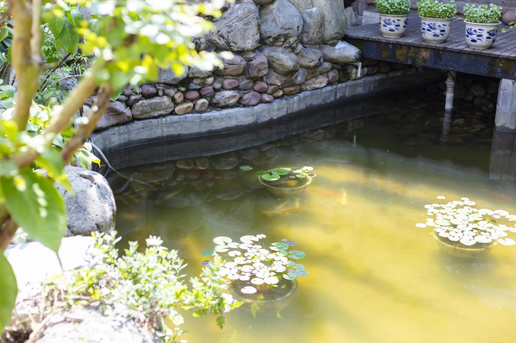 Butterfly Flowers Inn Zhangjiajie Εξωτερικό φωτογραφία