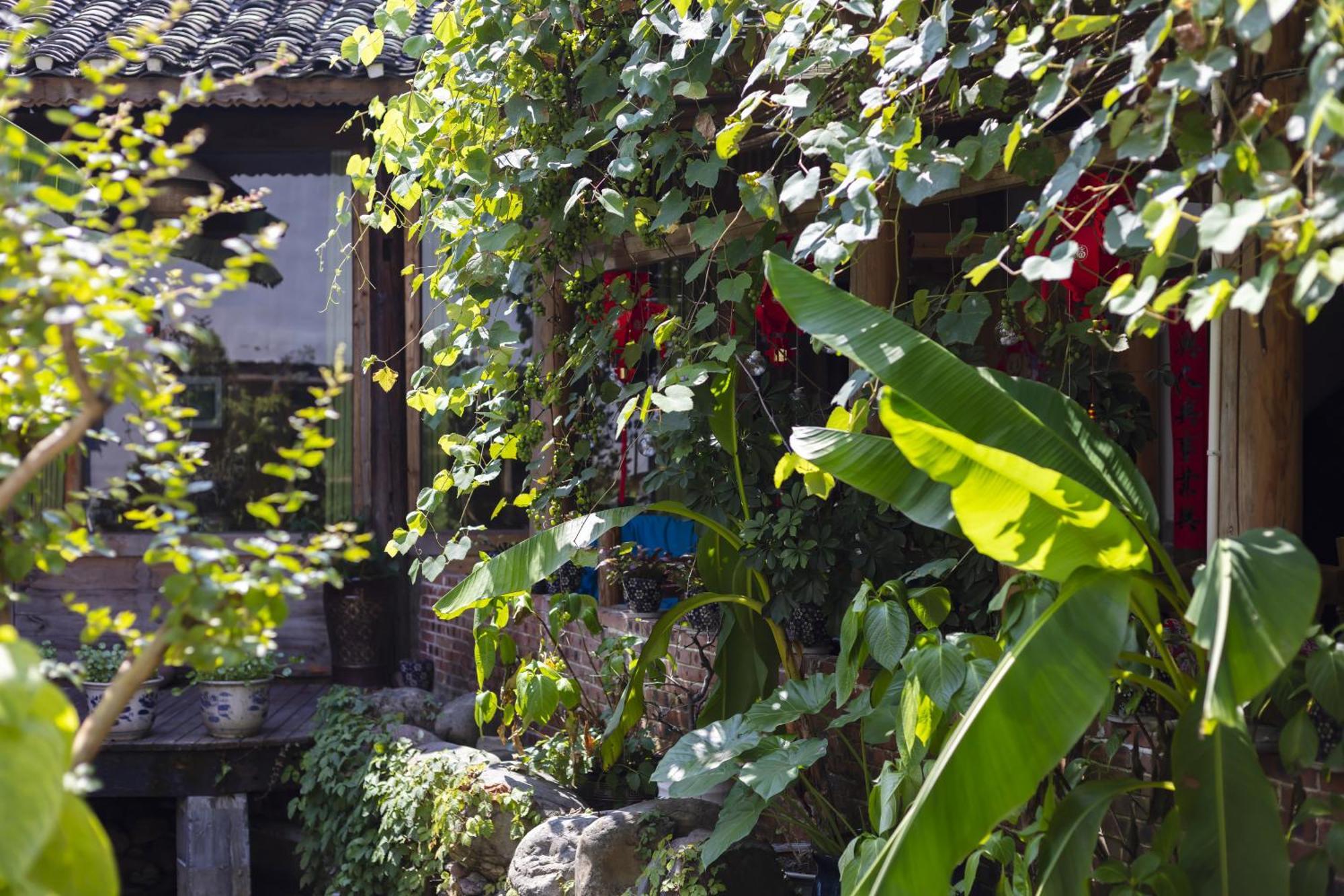 Butterfly Flowers Inn Zhangjiajie Εξωτερικό φωτογραφία