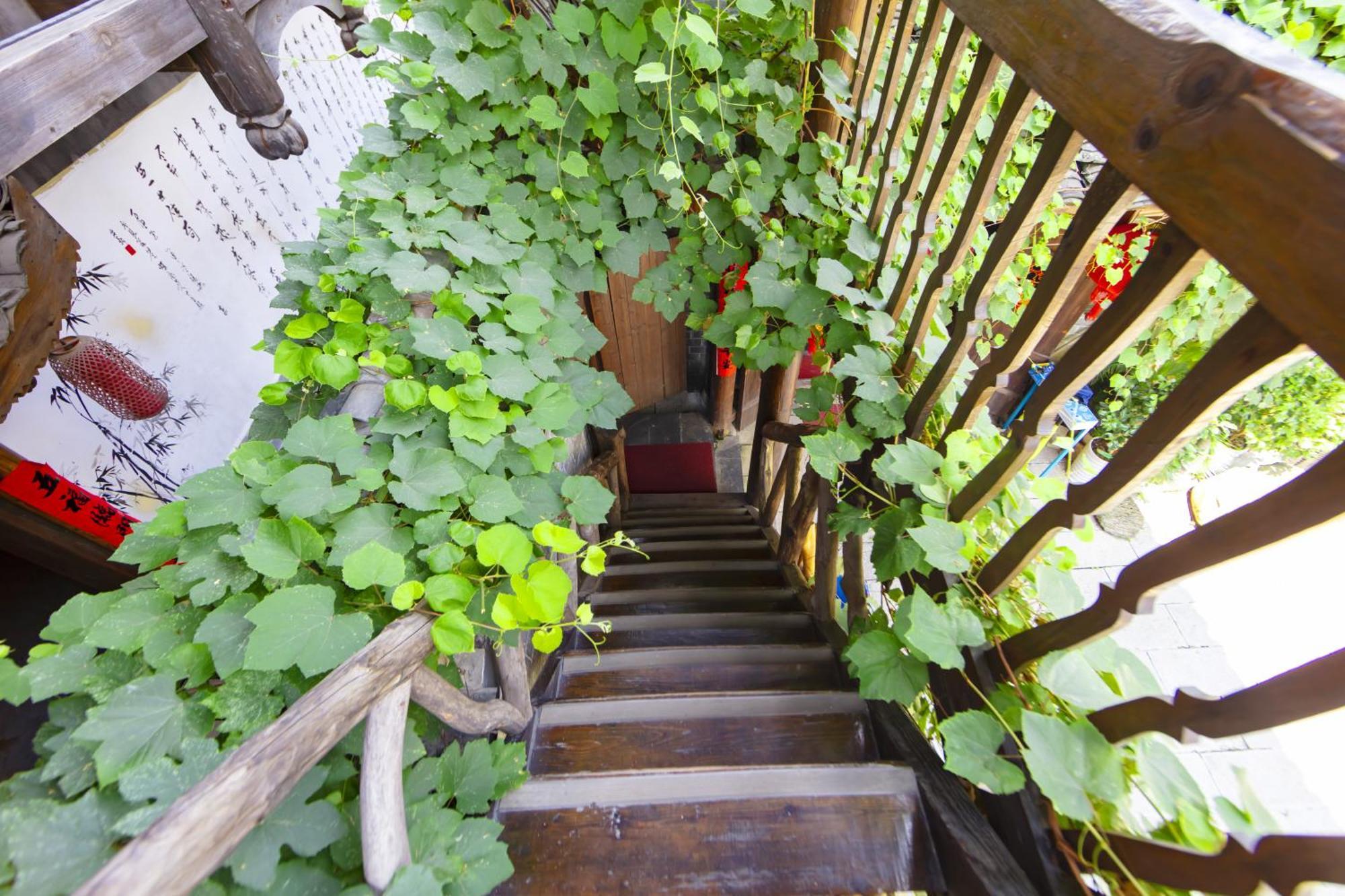 Butterfly Flowers Inn Zhangjiajie Εξωτερικό φωτογραφία